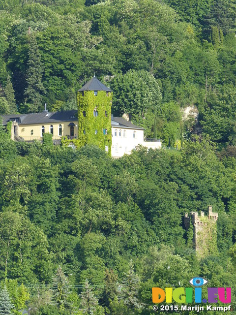 FZ016077 Ivy covered tower